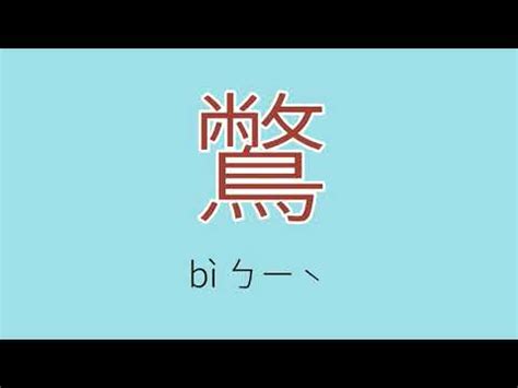 笑容可掬讀音|笑容可掬 [修訂本參考資料]